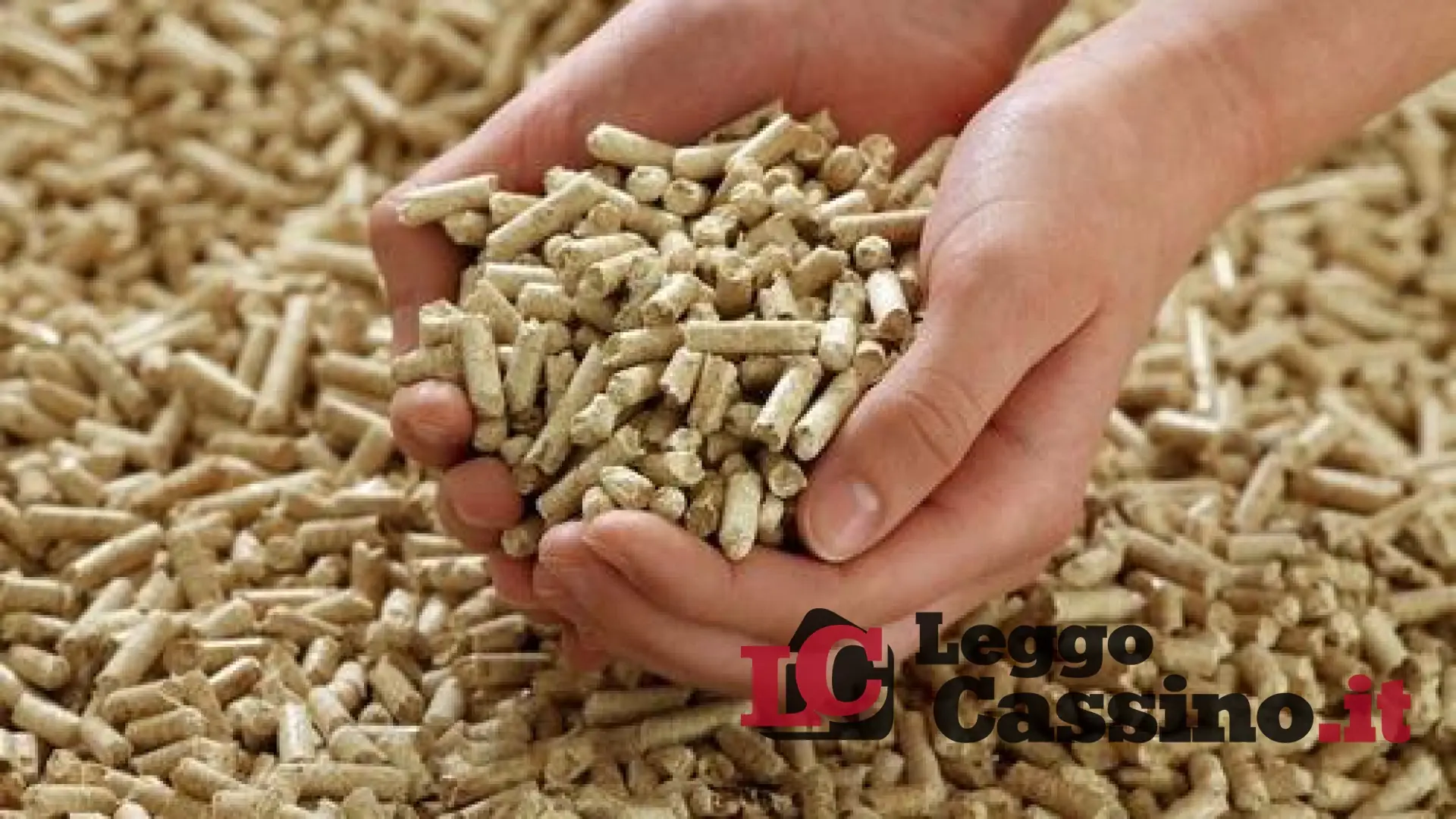 Effettua un bonifico da 500 euro per l'acquisto del pellets. Ma l'annuncio era falso