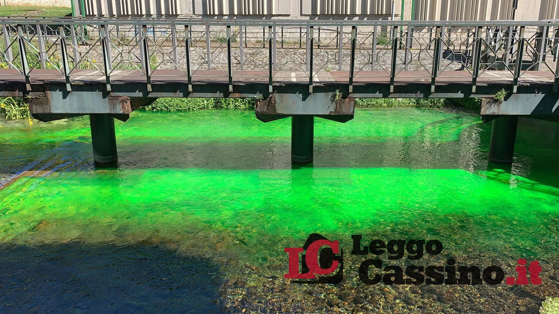Le acque di Cassino si colorano di verde