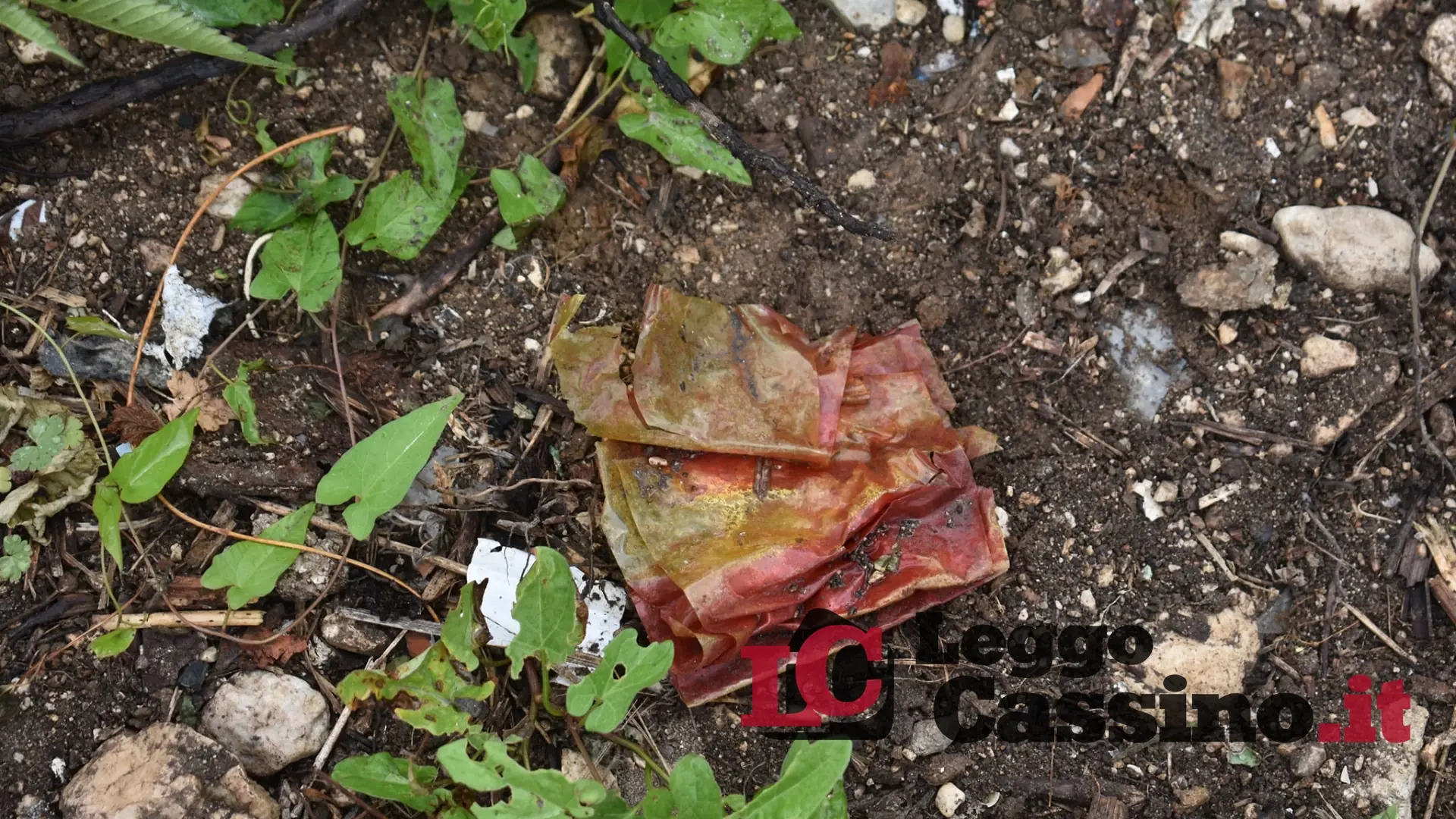 Veleni interrati,  dal sottosuolo emerge anche una sacca di sangue