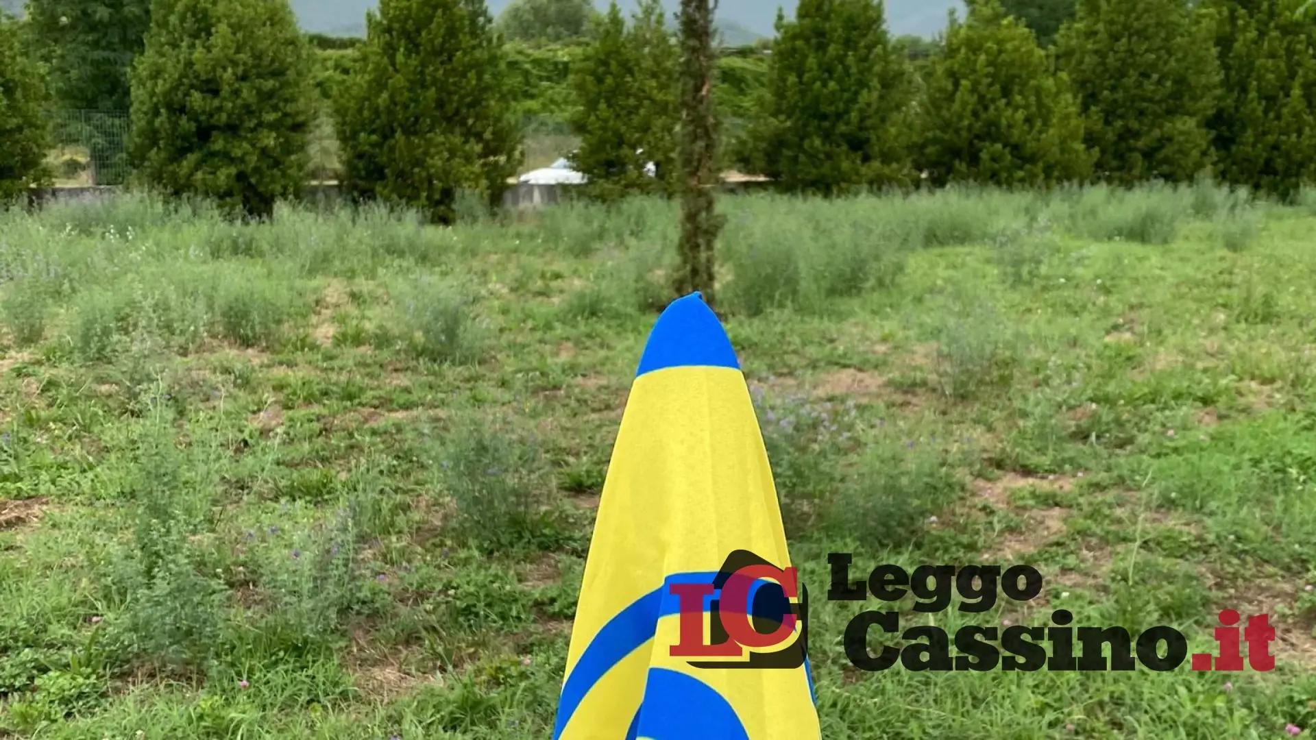 Un cipresso per ricordare le vittime della pandemia