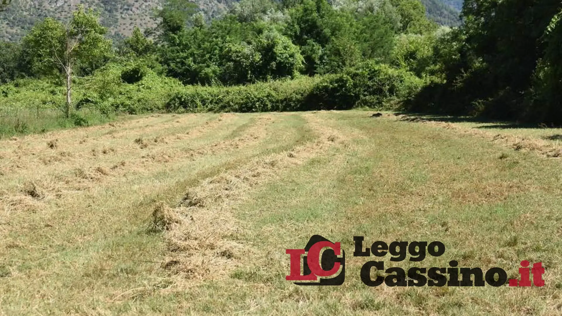 Raccolta fieno in zona off limits,  l'allarme degli ambientalisti