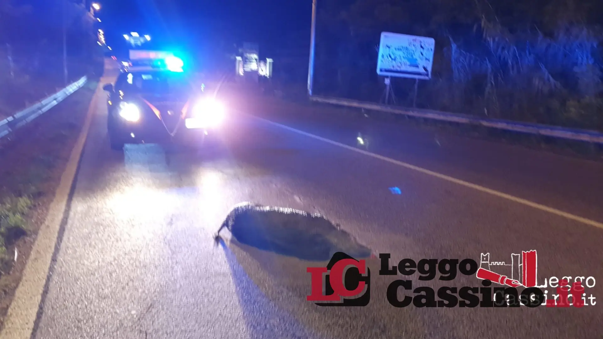 Incidente sulla Superstrada: un'auto si scontra con un cinghiale