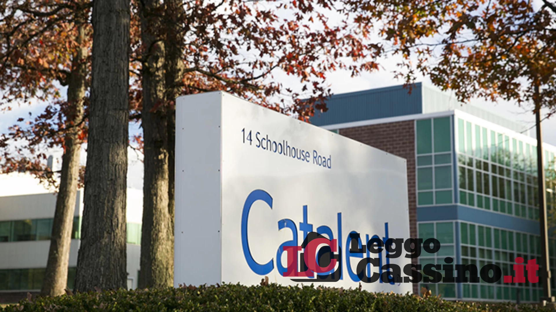 Catalent lascia Anagni,  posti di lavori in fumo. È scontro politico