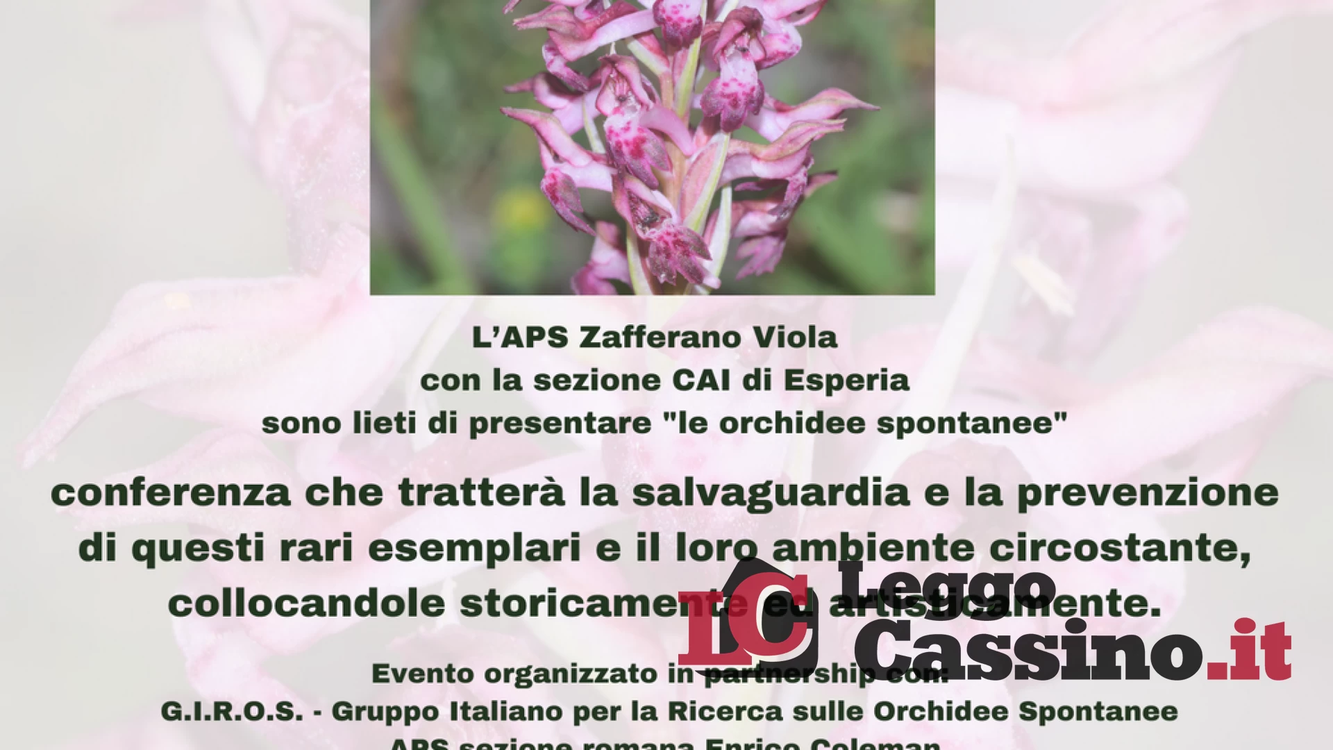 “Le Orchidee spontanee tesoro del parco Naturale dei Monti Aurunci”