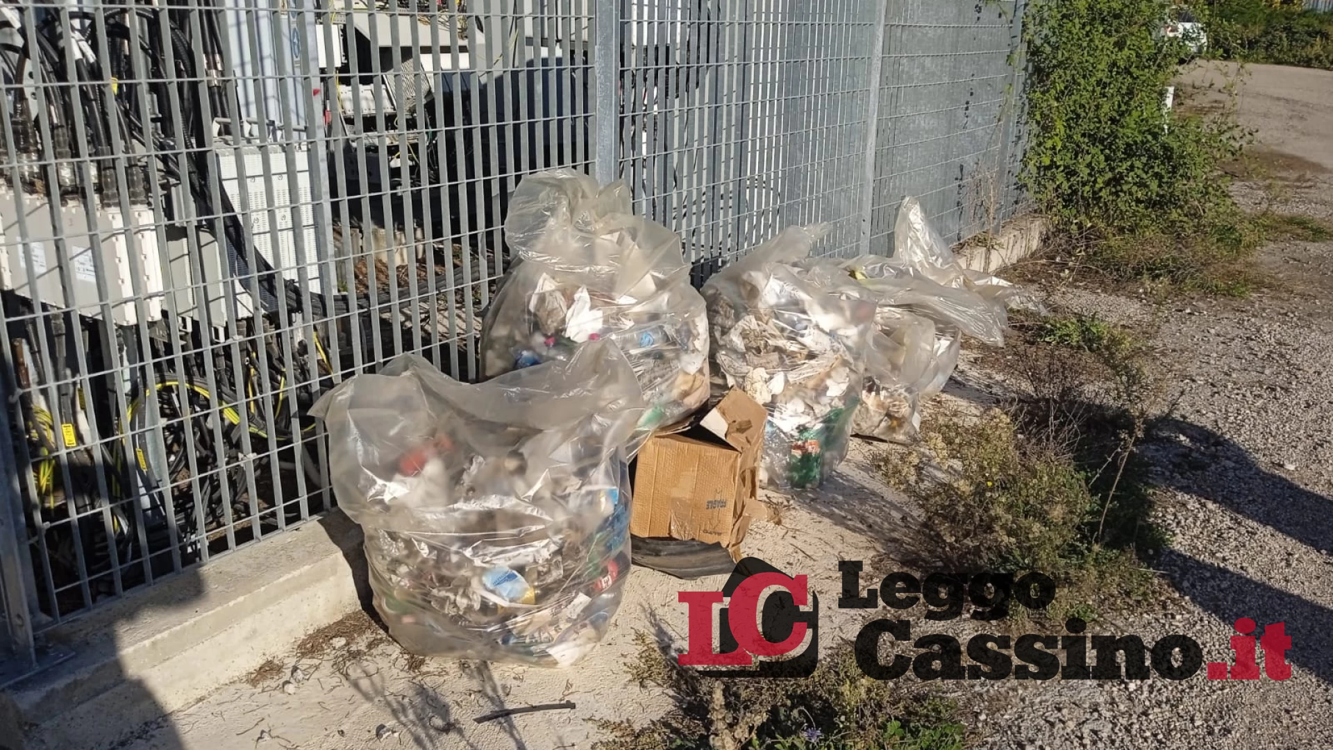 Cassino, i volontari di "Quis Contra Nos” bonificano il parcheggio dello stadio