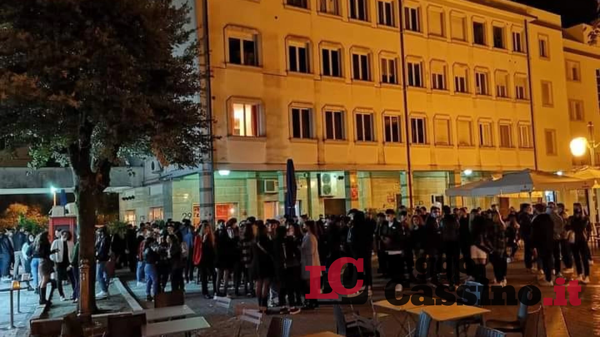 Cassino, arriva la stretta sulla malamovida: unità cinofile in campo
