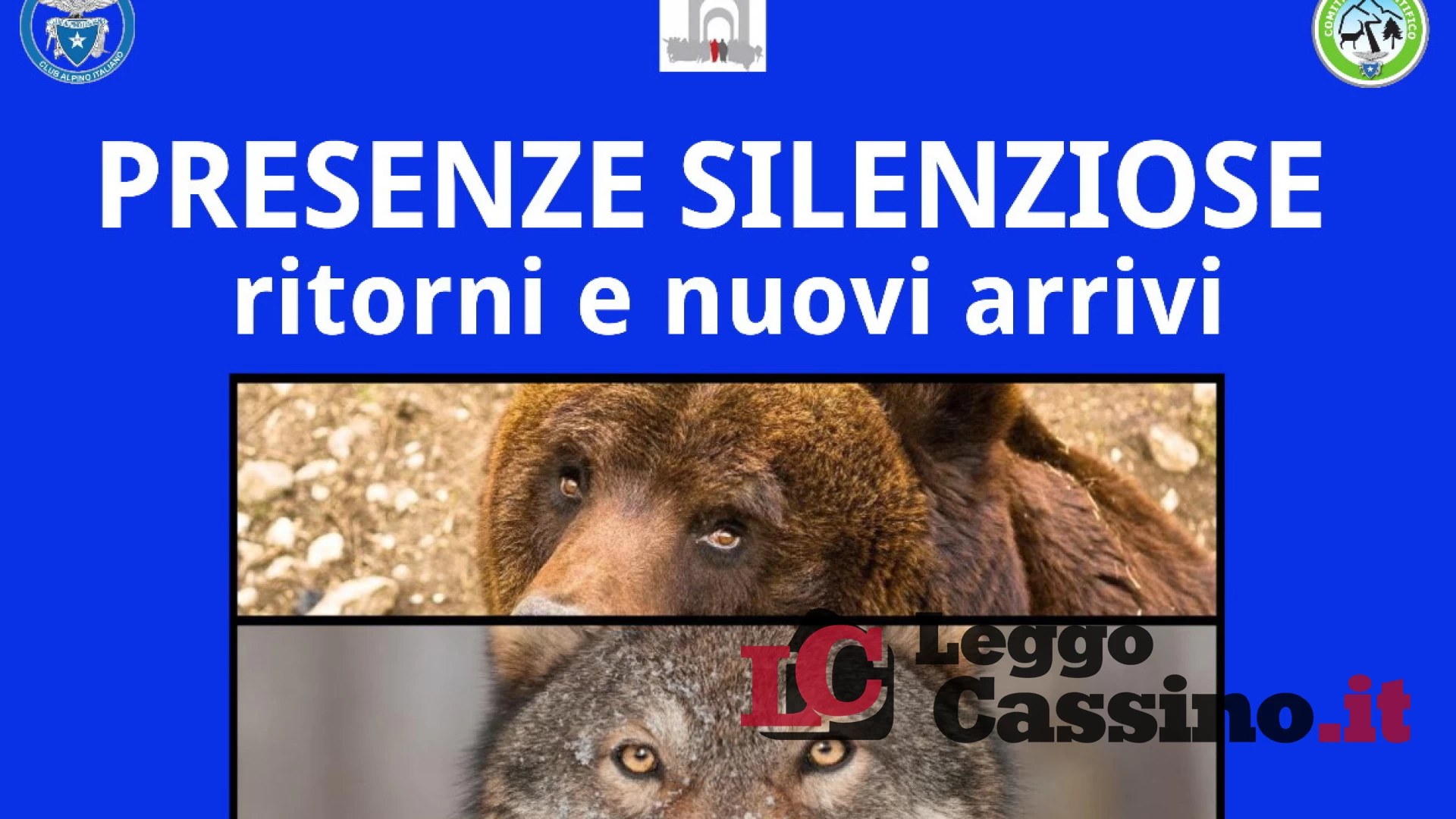 La mostra "Presenze Silenziose" da domani al Liceo Scientifico "Pellecchia" di Cassino