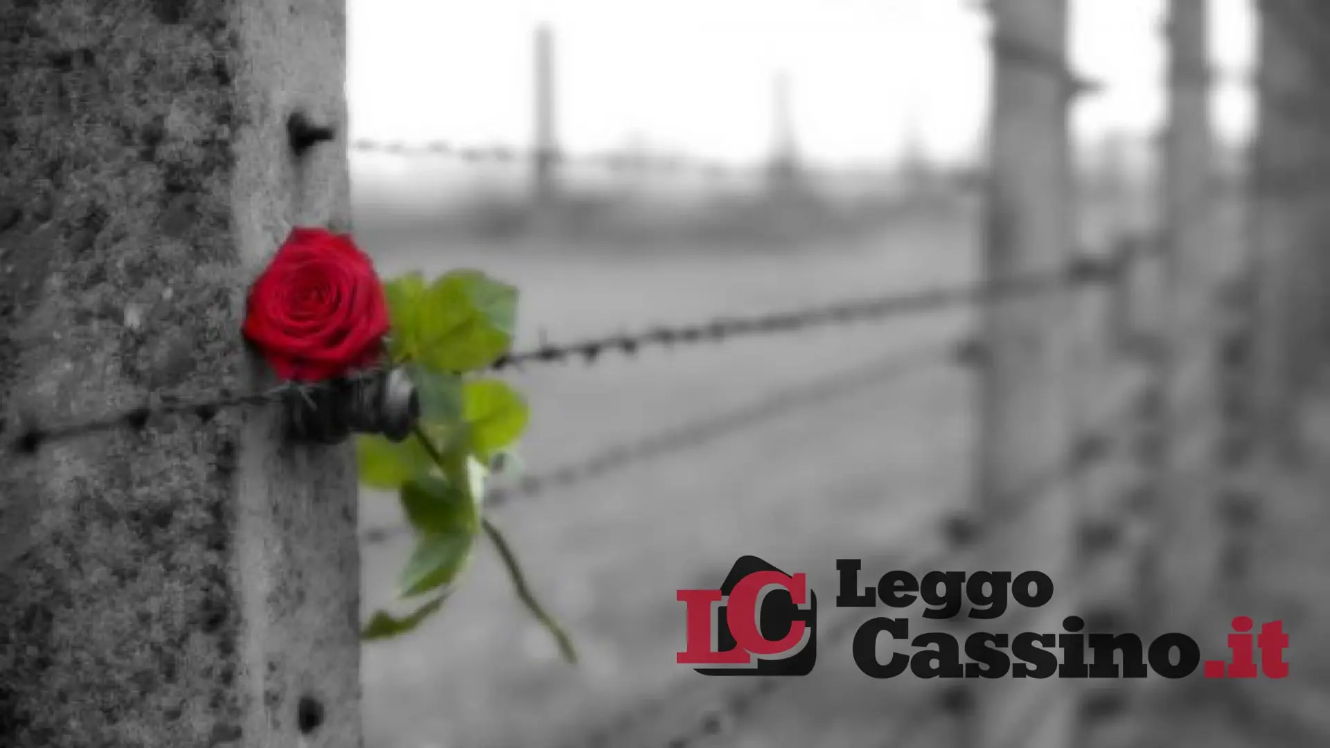 Giorno della Memoria, a Cassino tanti eventi in programma