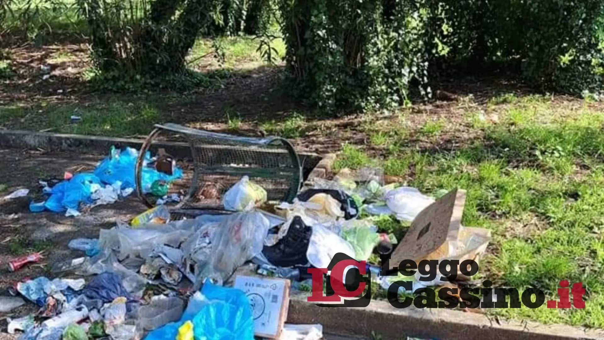 "La pulizia della città non spetta ai volontari, il sindaco deve vigilare"
