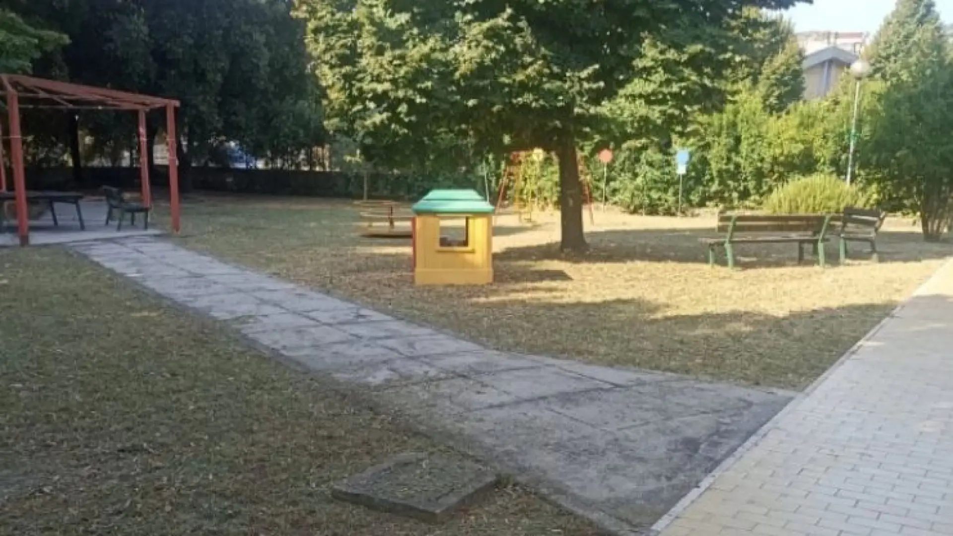 Manutenzione senza sosta anche ad agosto: interventi su verde pubblico ed illuminazione