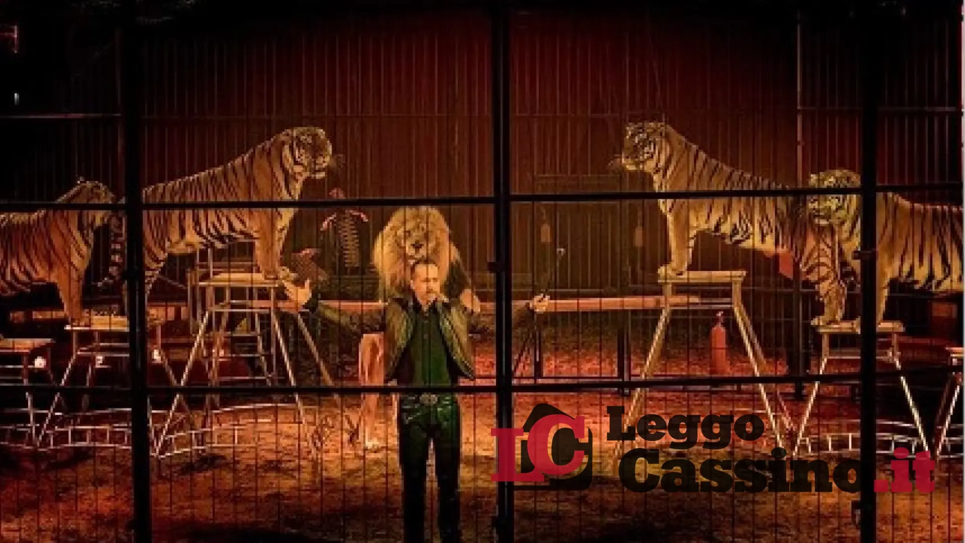 A Cassino lo strepitoso show dell’Imperial Royal Circus