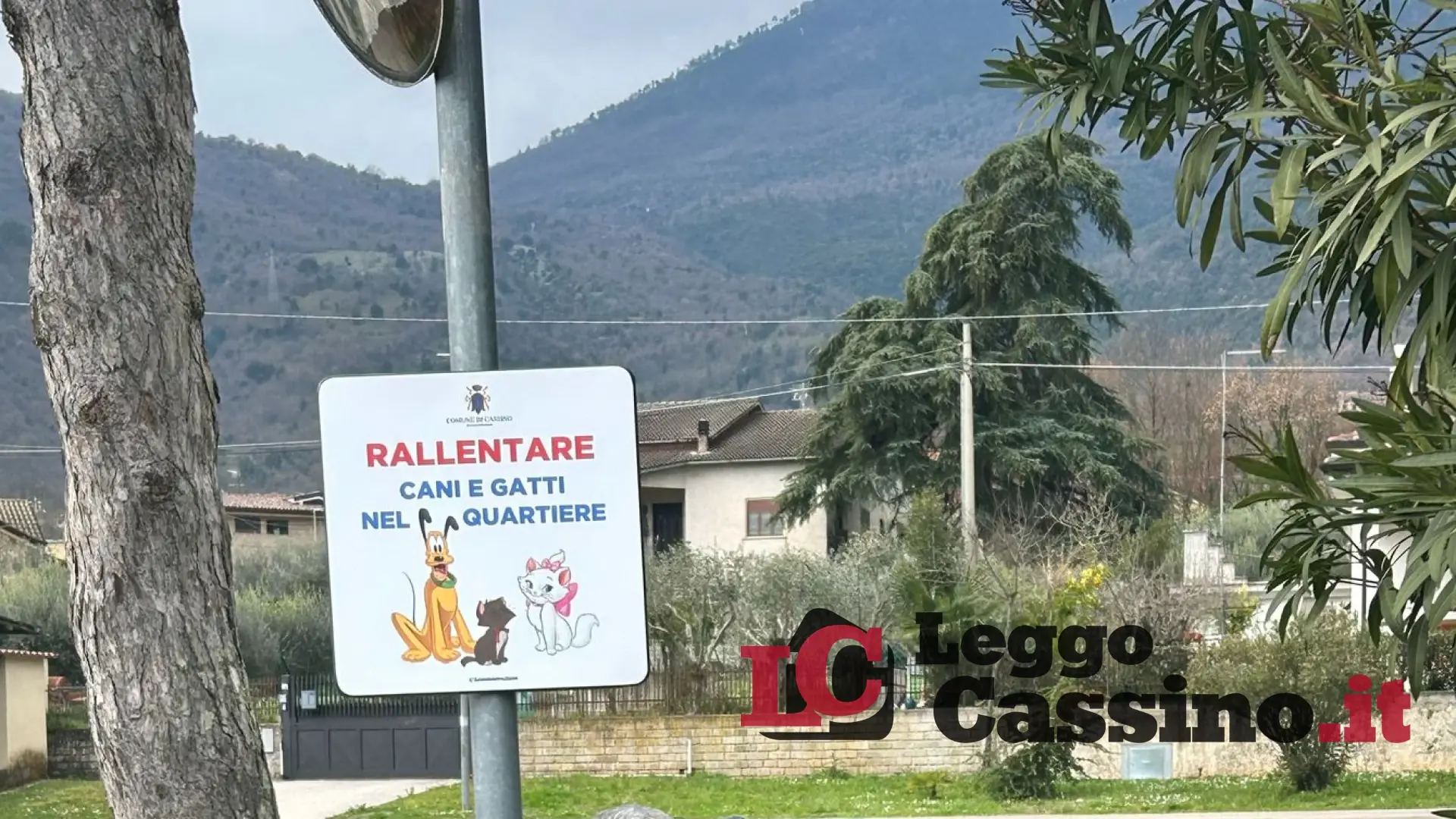 "Rallentare, animali nel quartiere": la singolare iniziativa parte da Caira