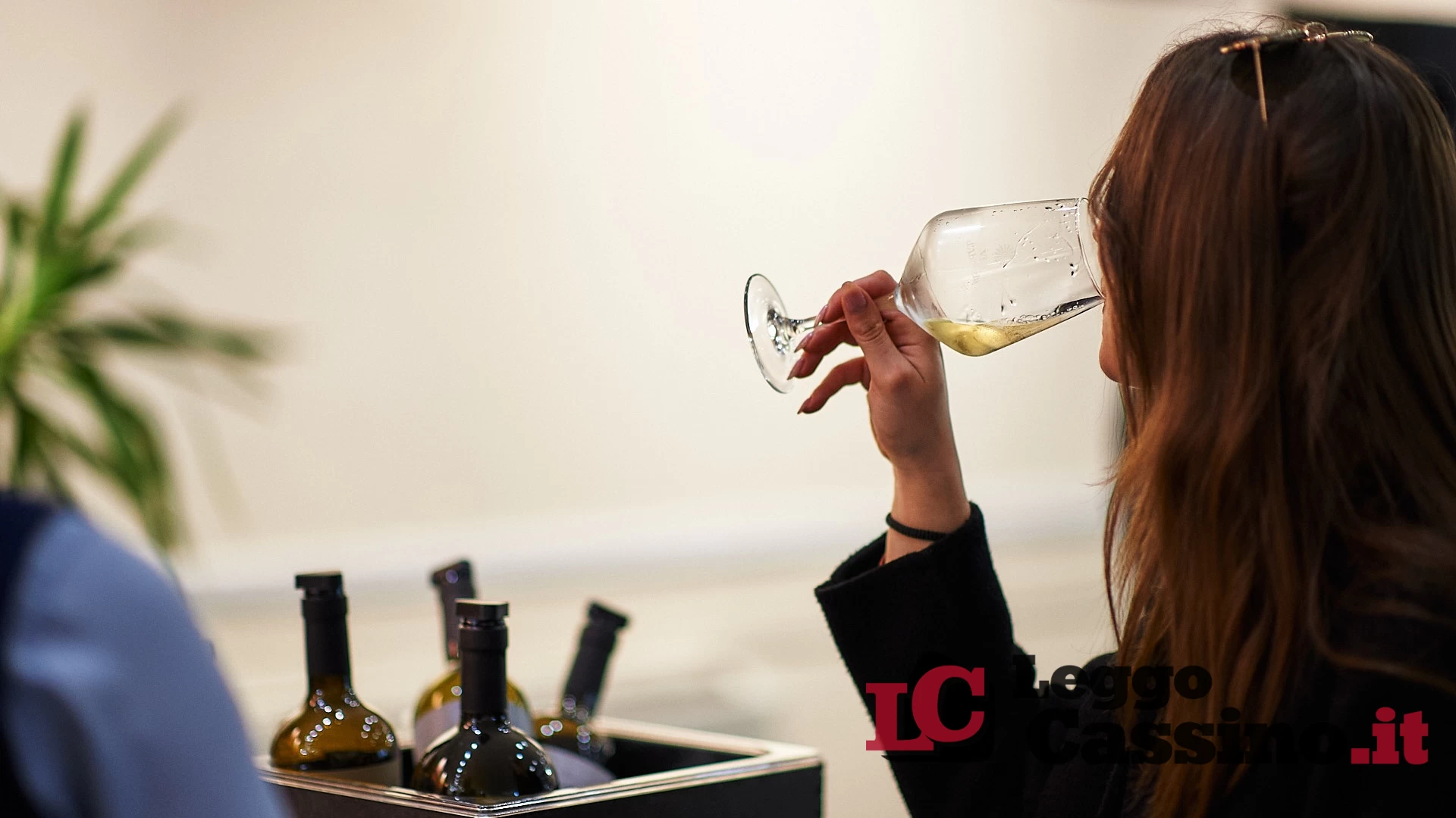 Nasce "Al servizio del vino": il nuovo format di seminari formativi per far crescere la ristorazione locale