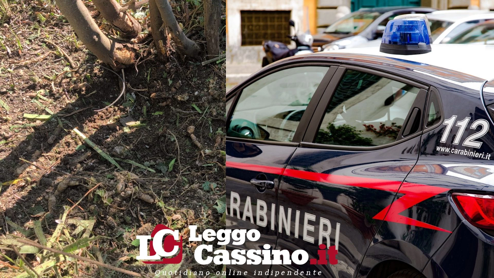 Cervaro, bomba carta contro un'abitazione in zona Foresta: è caccia a una Station Wagon scura