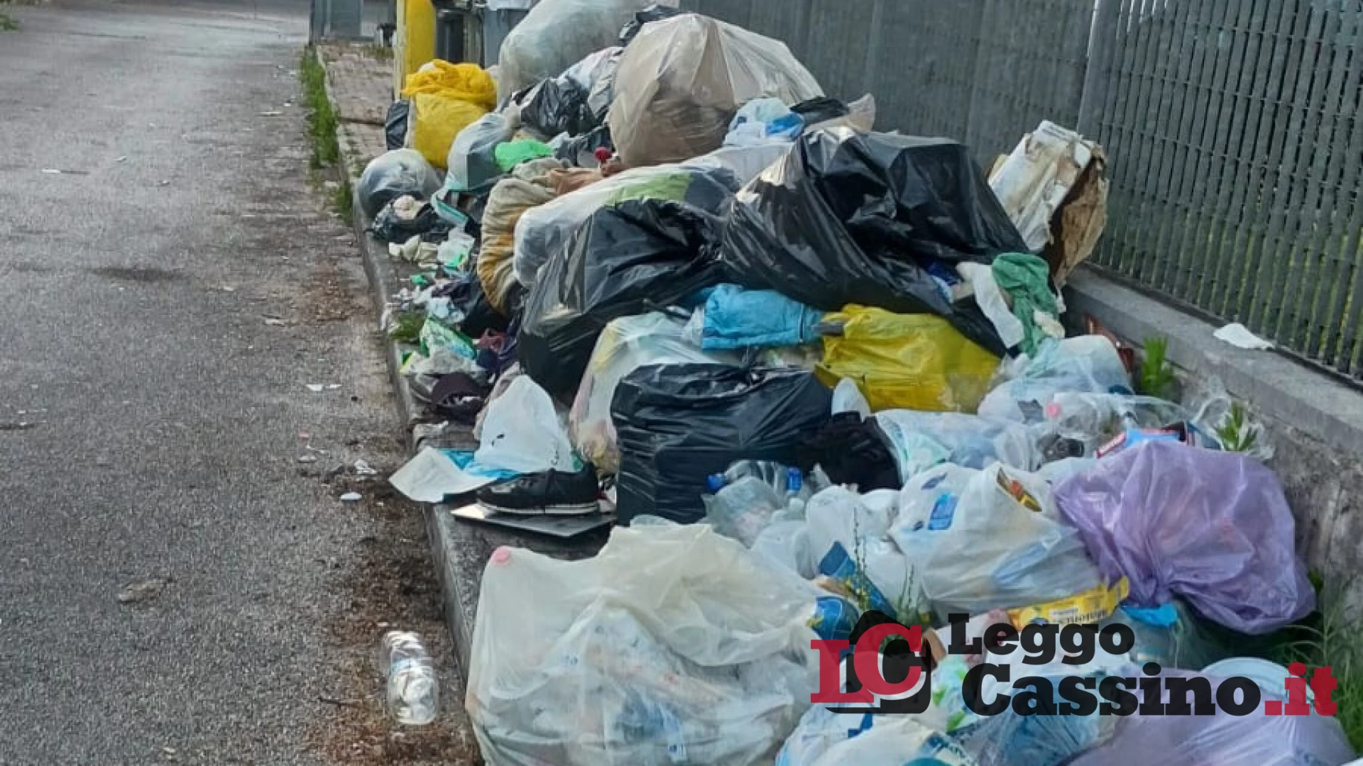 Cassino, discarica abusiva e alberi pericolanti a San Bartol...