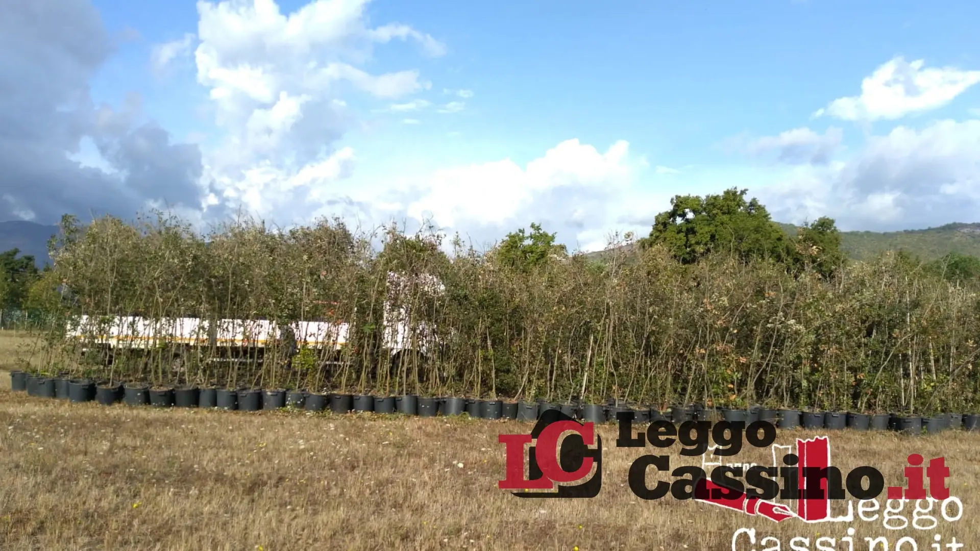 Il progetto Ossigeno rilancia il vivaio del Parco dei Monti Aurunci di Monticelli