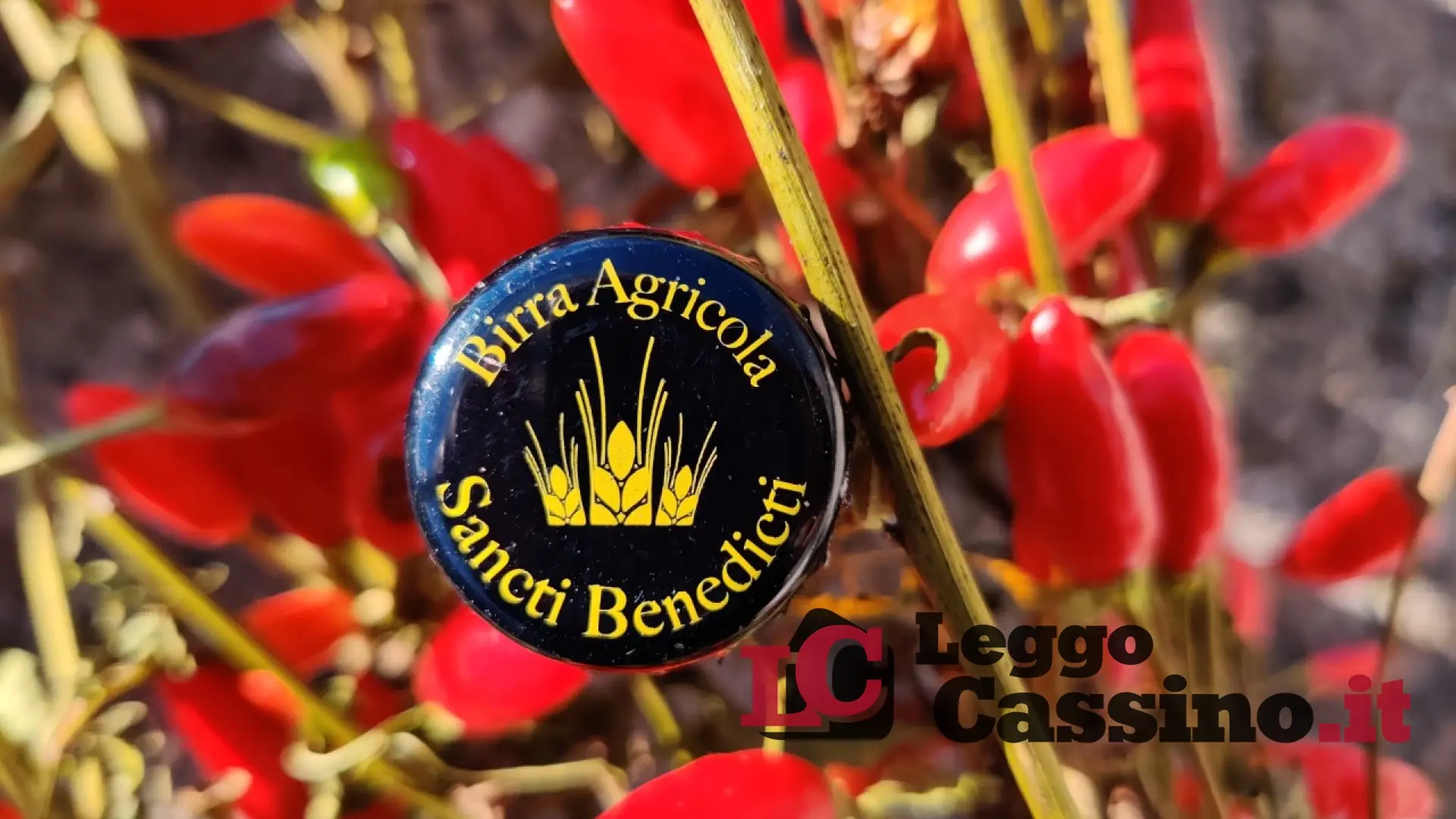 “Sancti Benedicti”, una partenza a… tutta birra