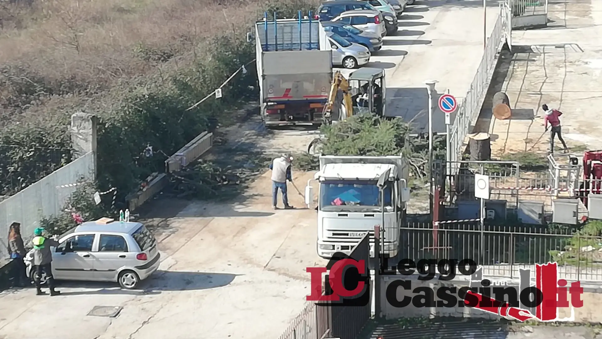 Tagliati altri alberi in città, monta la polemica