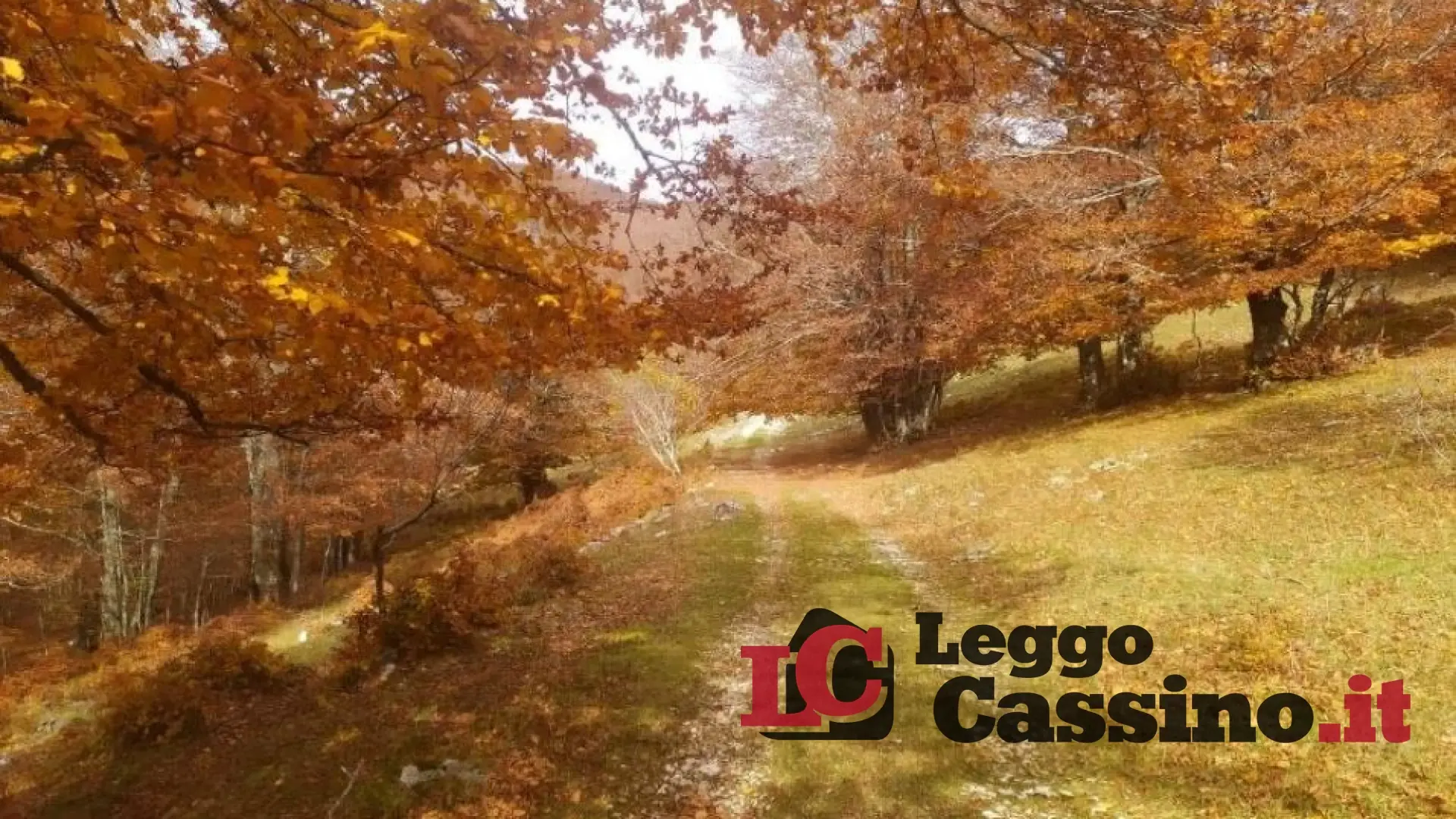 "Passi di riscaldamento"