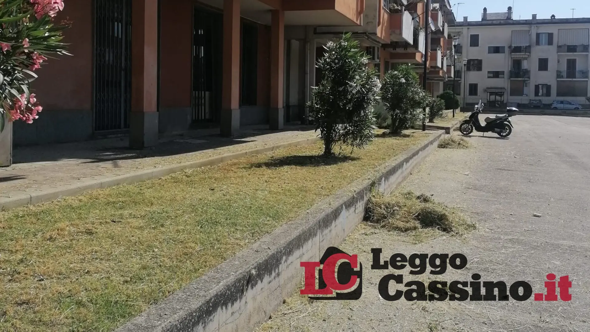 Manutenzione, sostituiti oltre mille punti luce