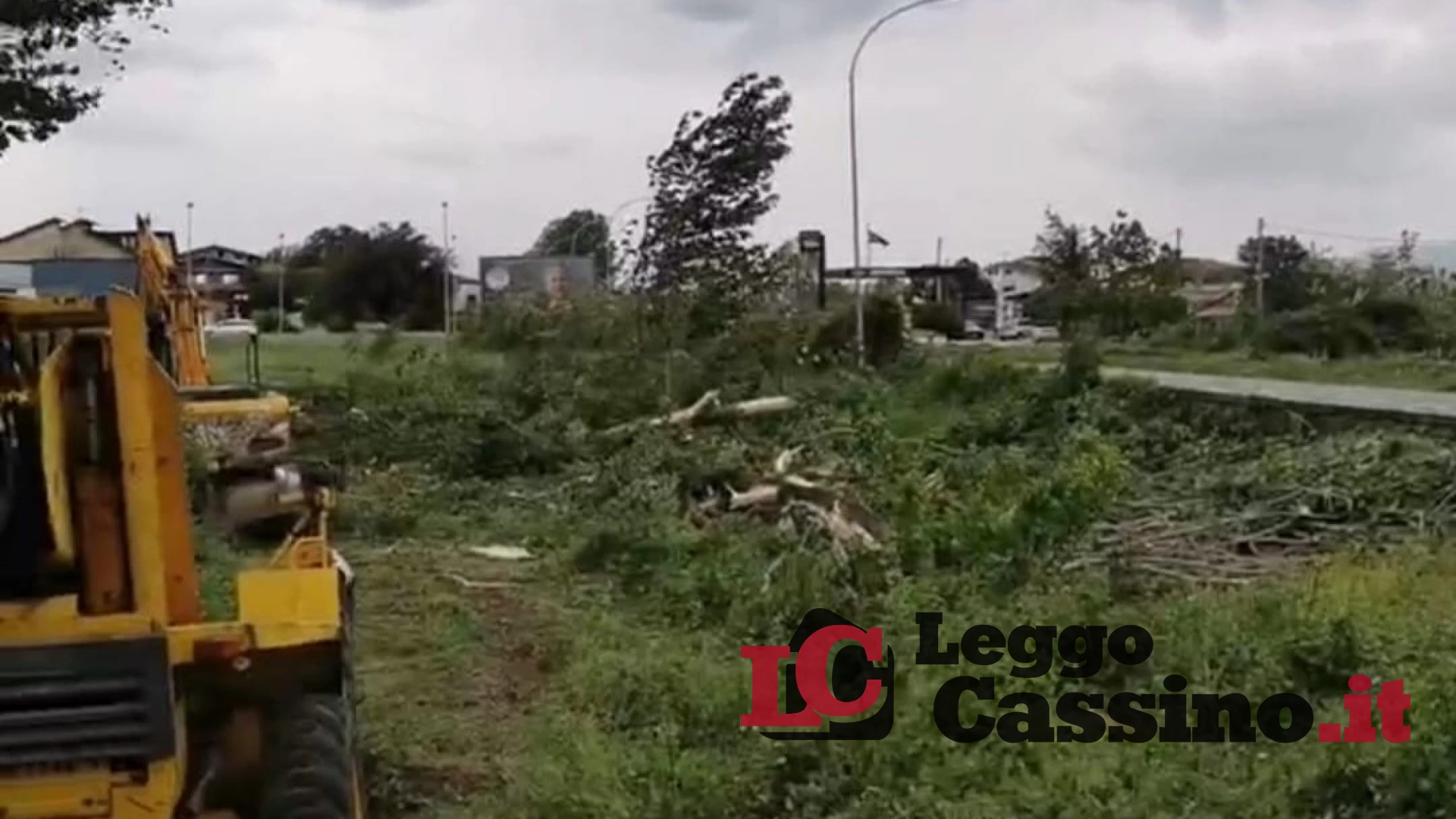 Albero pericolante sulla Casilina: intervengono i vigili del fuoco