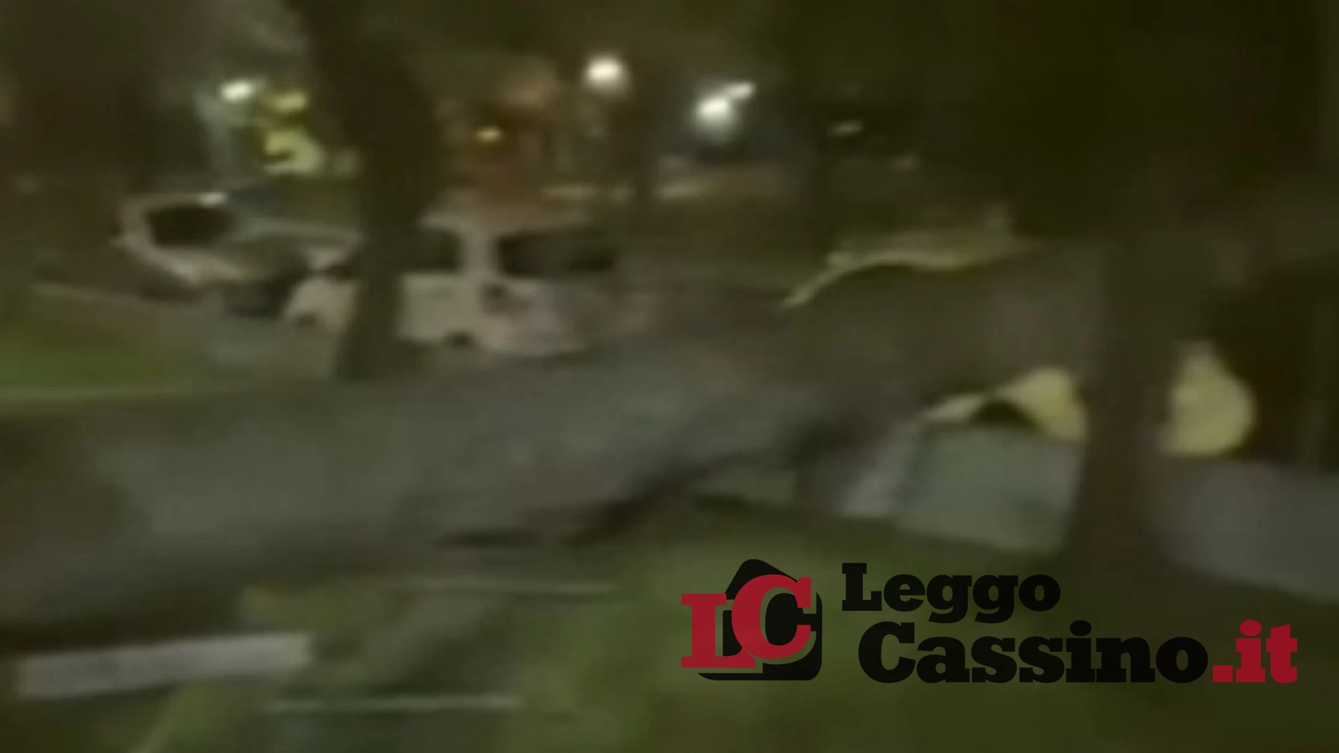 Albero sulle auto nel centro del paese: paura a Cervaro