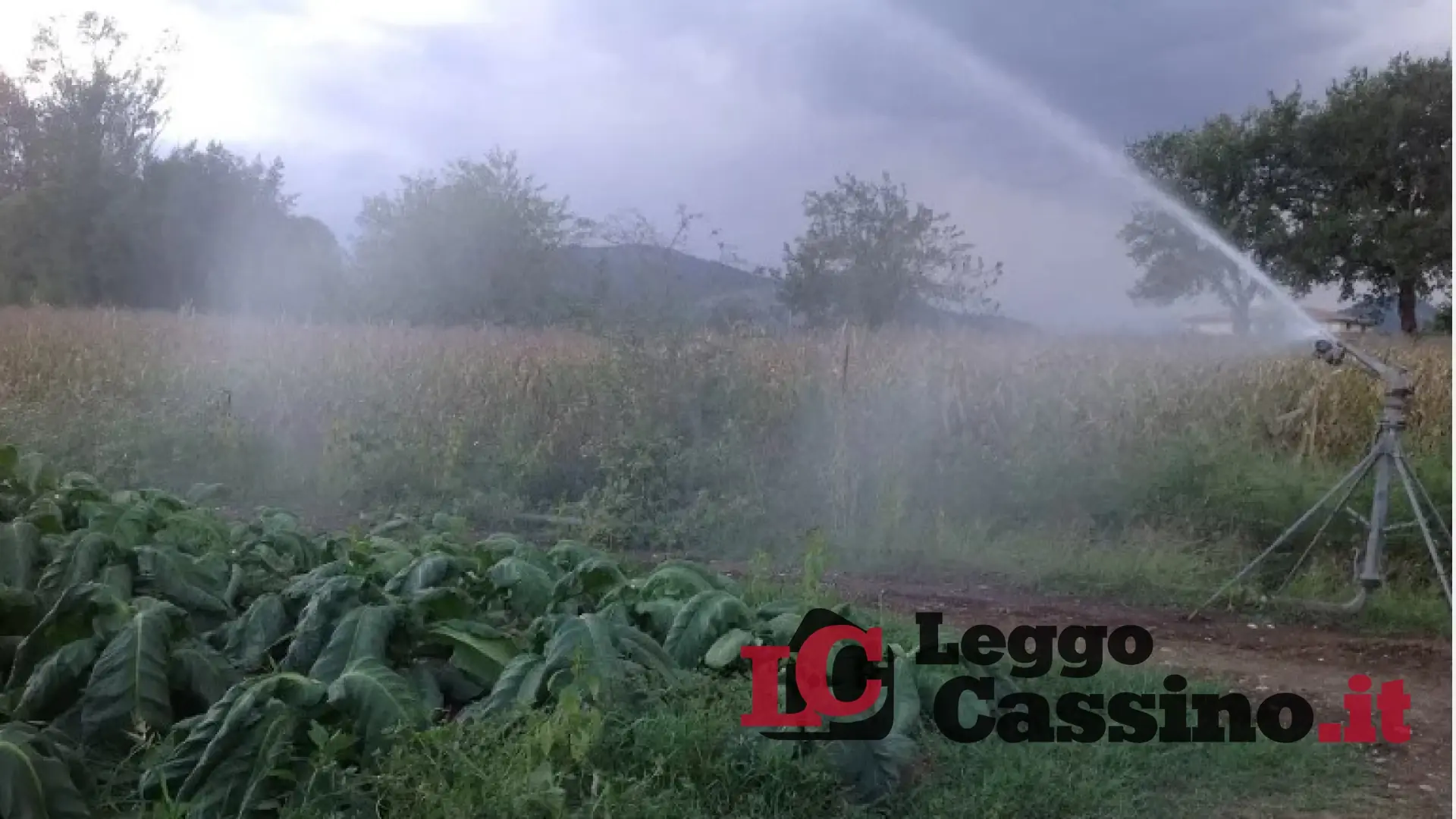 Turnazione al servizio di irrigazione nel Cassinate