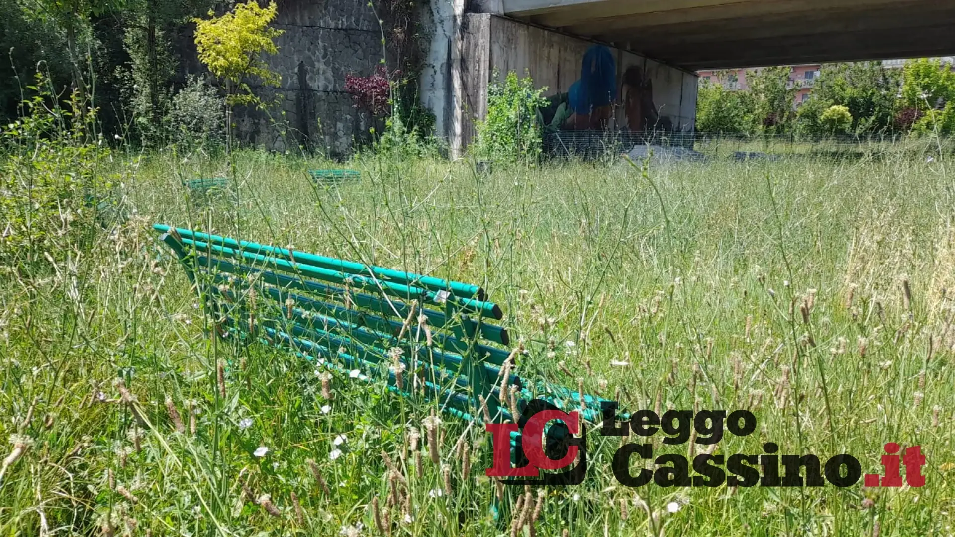 Panchine nascoste dalle erbacce, rifiuti e degrado: c'era una volta lo skate park