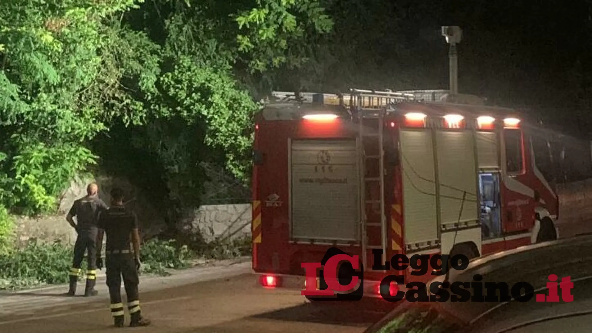 Albero pericolante in via Pinchera, vigili del fuoco in azione