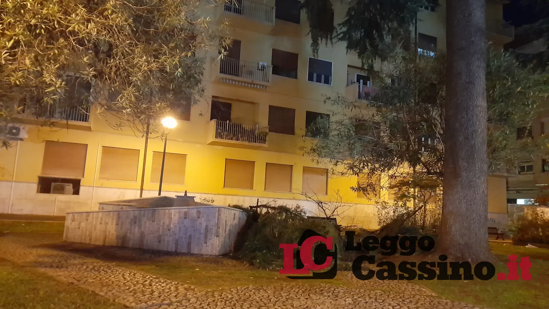 Cassino, cade un grande ramo da un albero