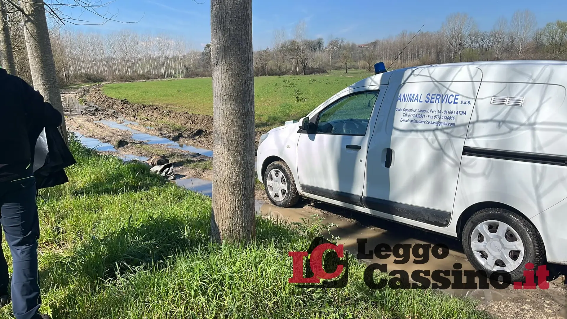 Cani ammazzati brutalmente a Cassino, indagano i Carabinieri Forestale e la ASL Veterinaria