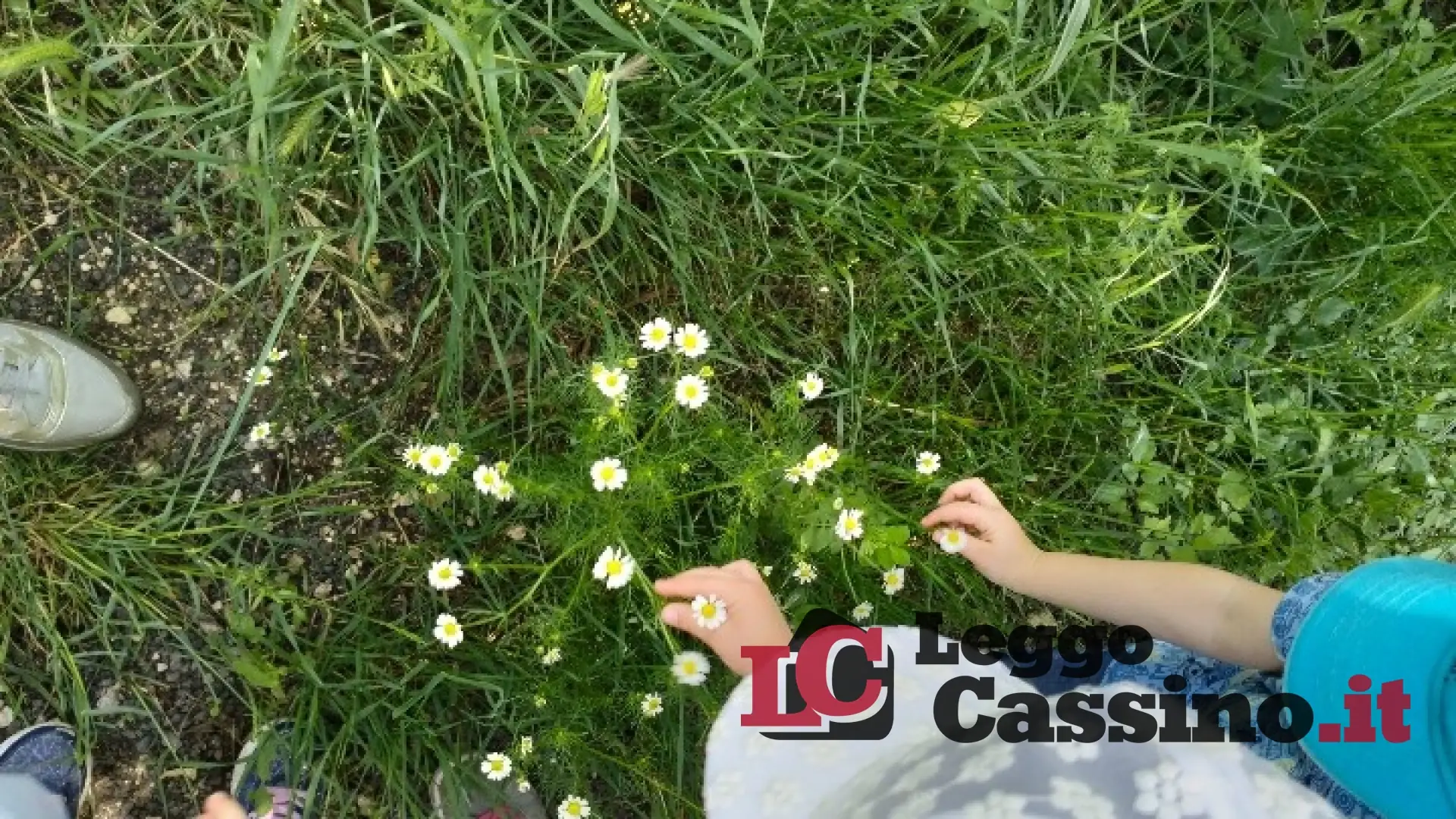 La scuola dell'Infanzia dell'I.C.Rita Levi Montalcini di Cassino in fattoria