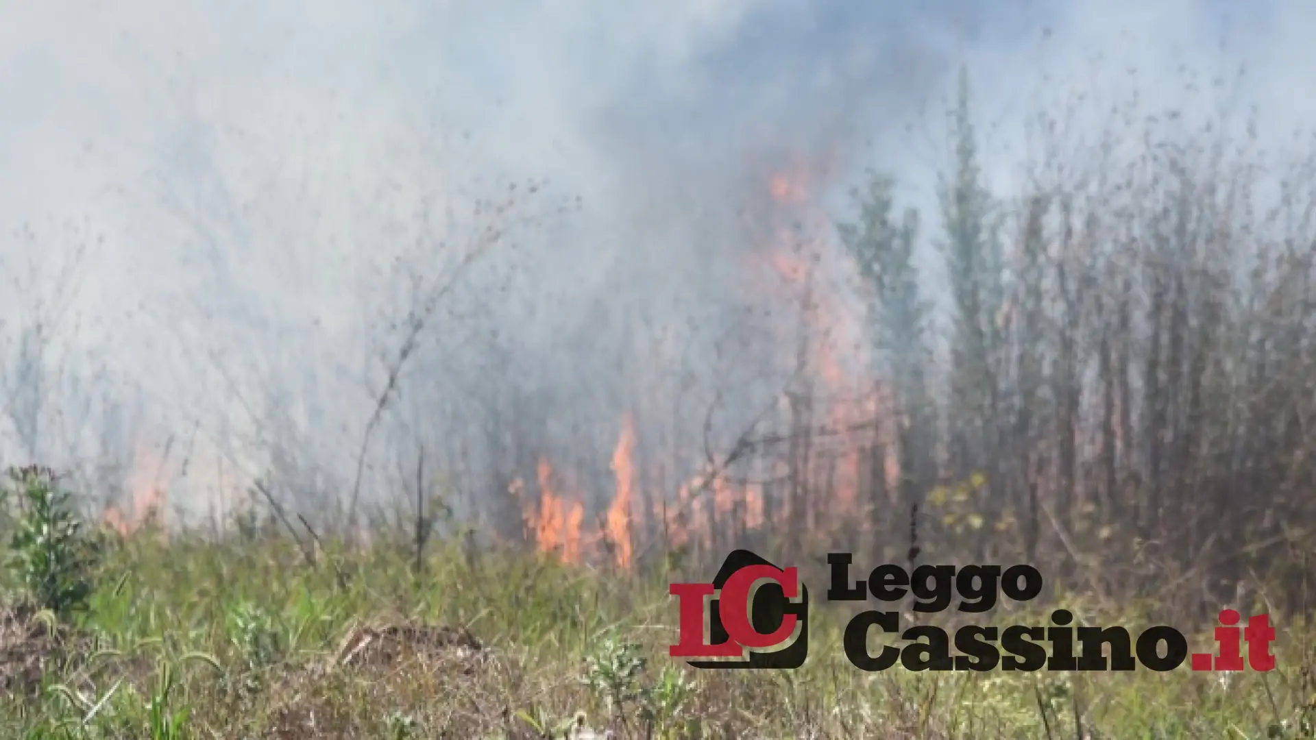 Nocione a fuoco, gli ambientalisti lanciano l'allarme