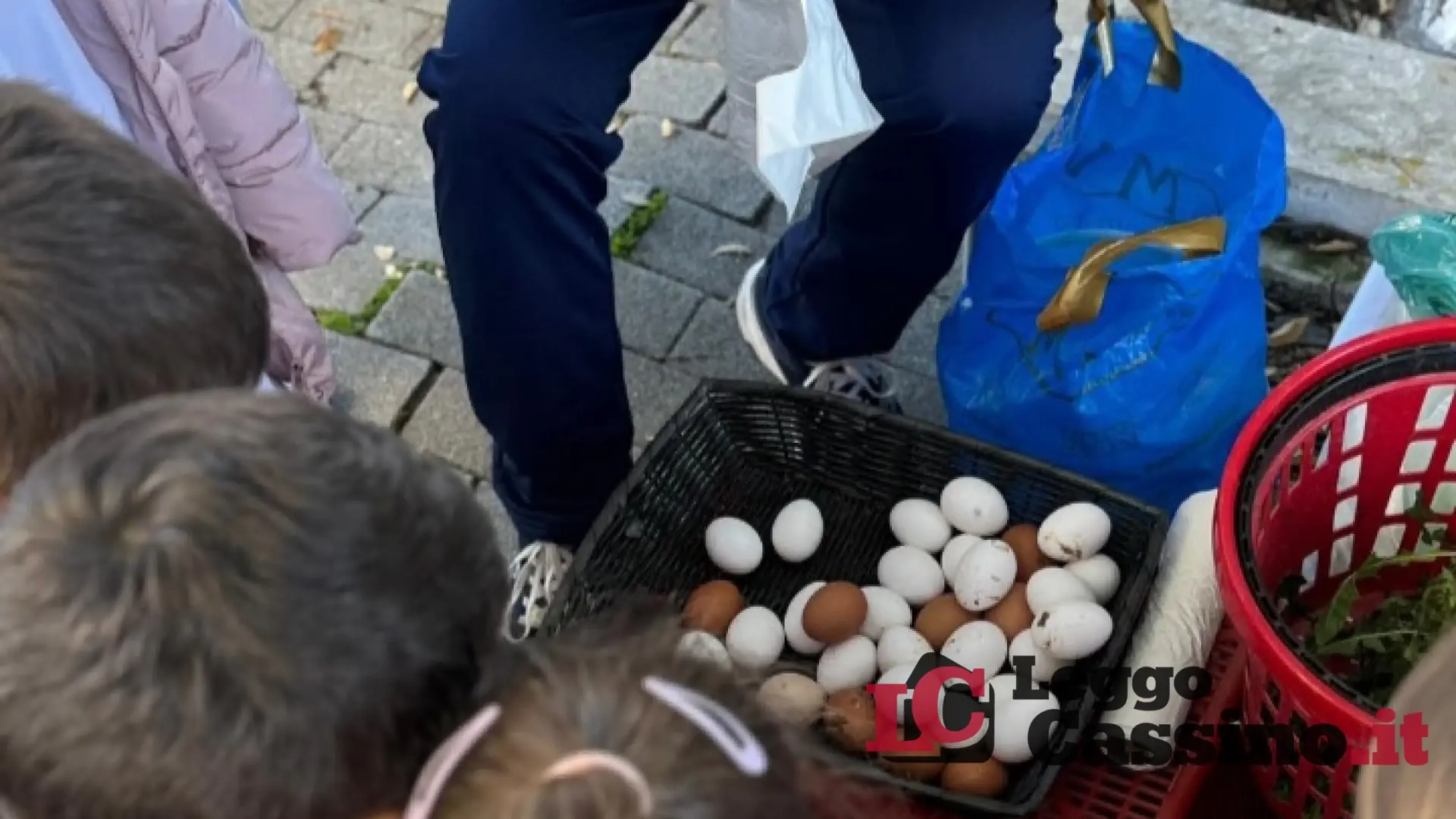 All'I.C. Rita Levi Montalcini il progetto "Conosco il mio territorio"