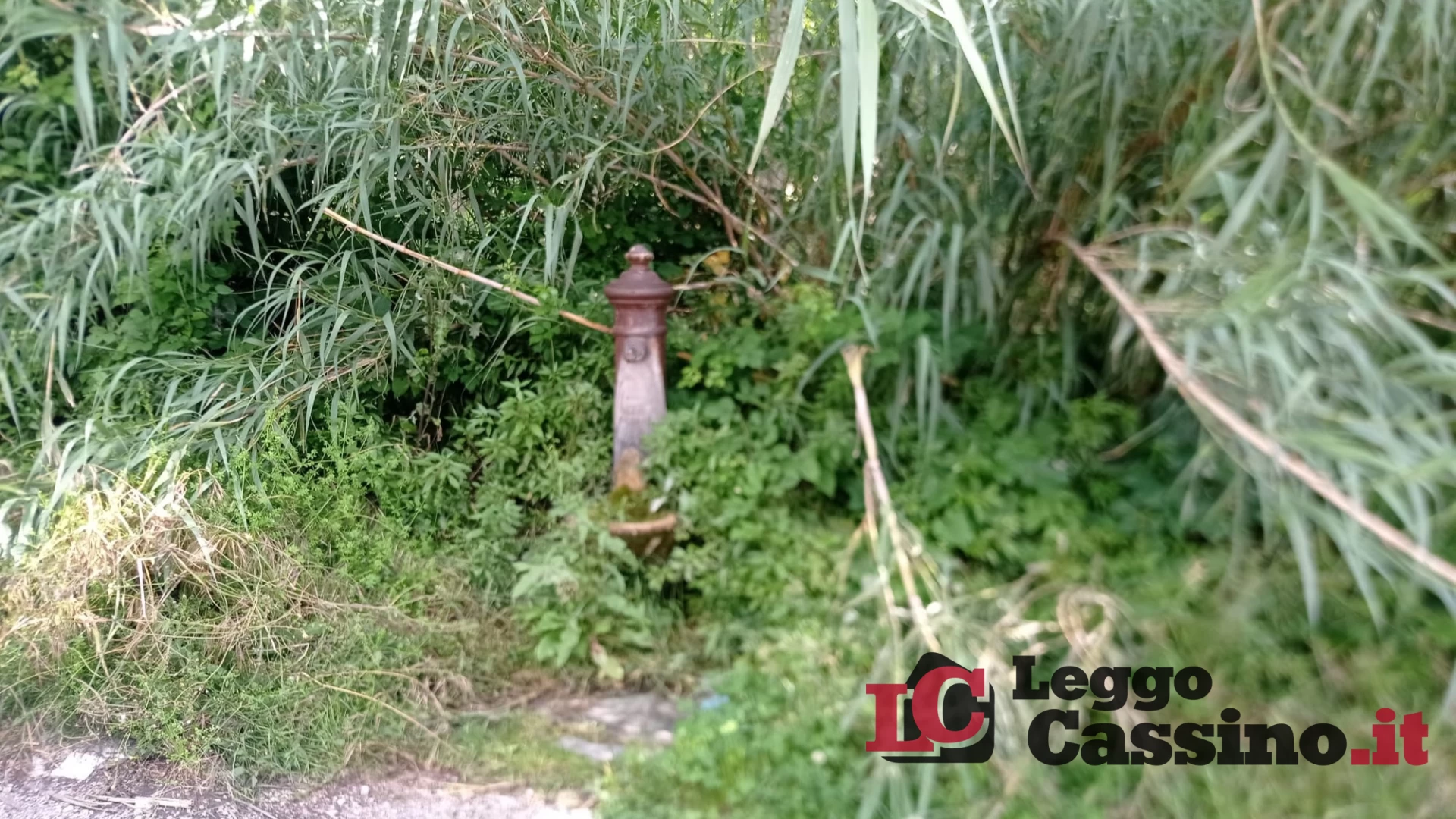 Cassino, si spegne la fontana cimiteriale tra lamentele ed i...