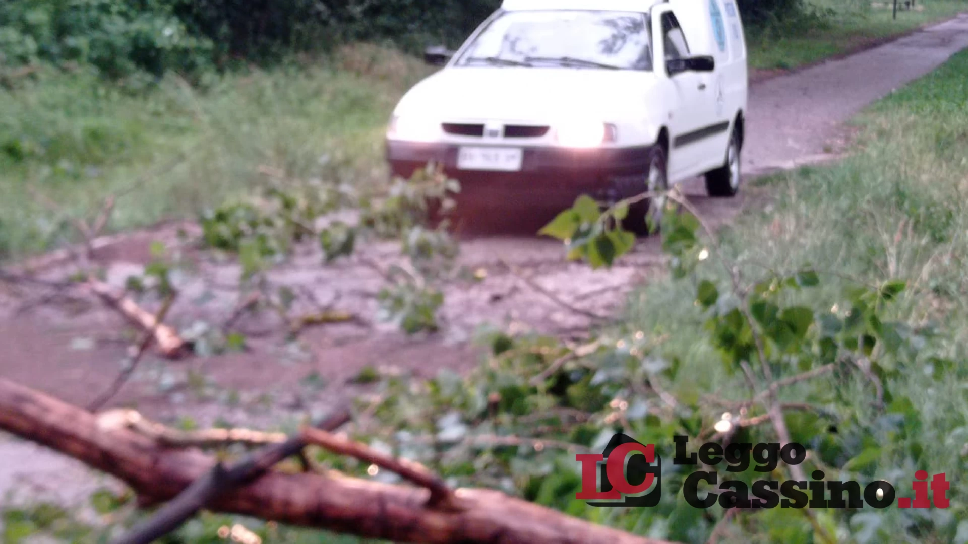 Maltempo a Cassino: pioppo cade sulla pista ciclabile, l'int...
