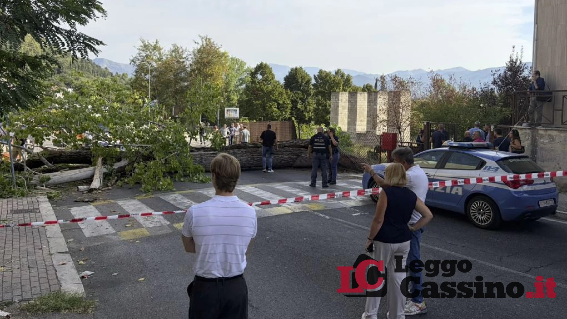 Albero crollato a Ingegneria, il Rettore: “I ragazzi stanno decisamente meglio”