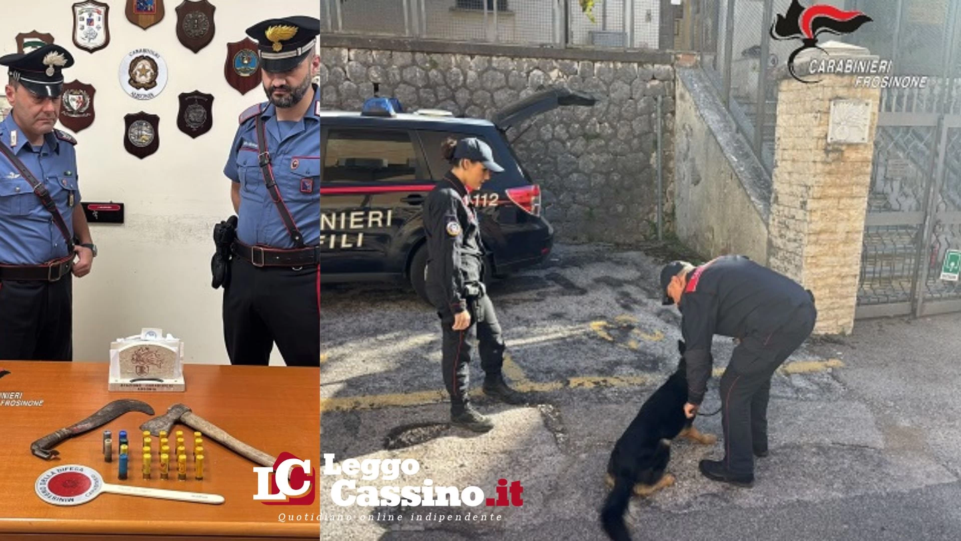 Coreno Ausonio, blitz dei Carabinieri con i cinofili: seques...